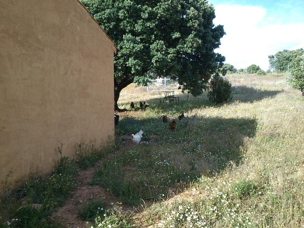 La Posada De Alcudia Brazatortas Dış mekan fotoğraf
